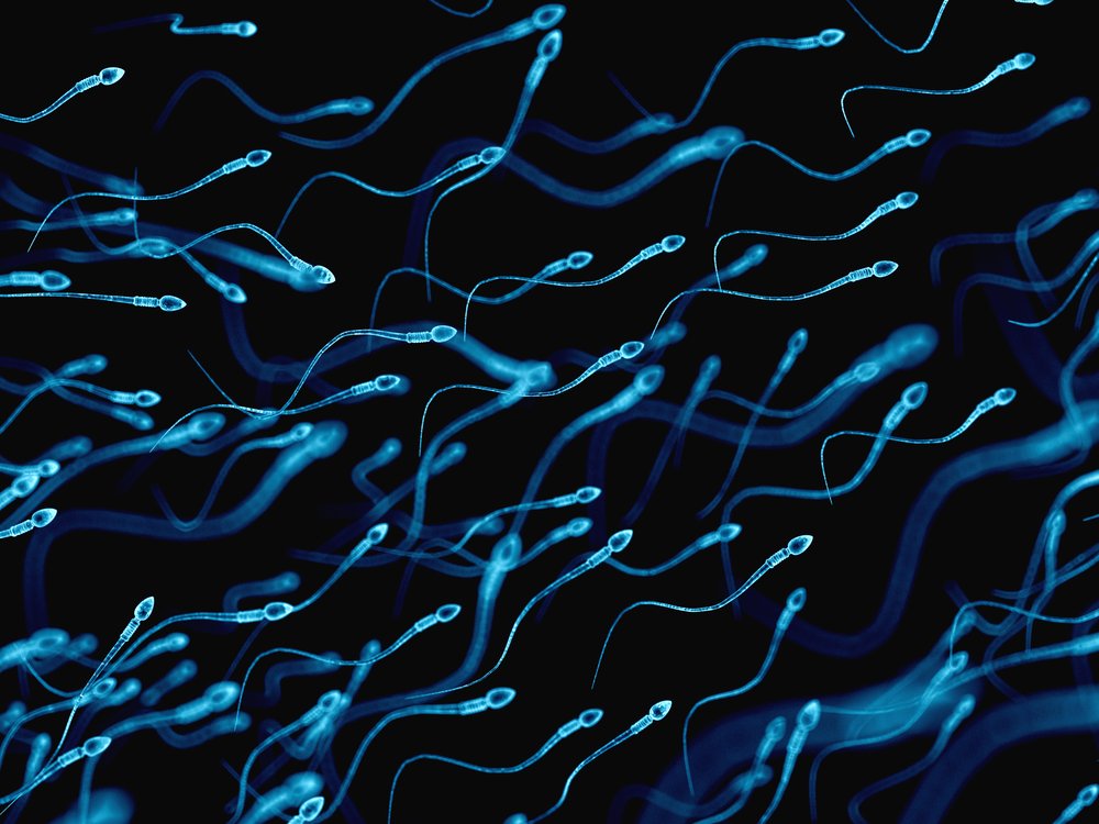 Hamile Kalmak İçin Spermi Ne Kadar Süre İçinde Tutmalısınız