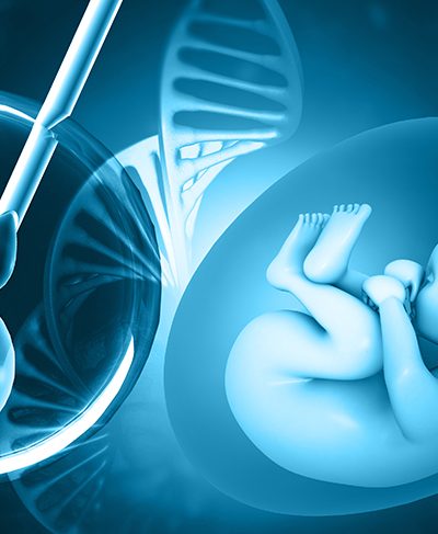 Tüp Bebek Tedavi Süreci