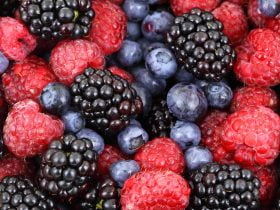 Hamilelik Öncesi Hangi Vitamini Almalıyım?