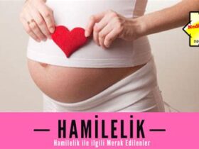 Doğurganlığı arttıran yiyecekler