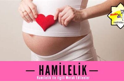 Doğurganlığı arttıran yiyecekler