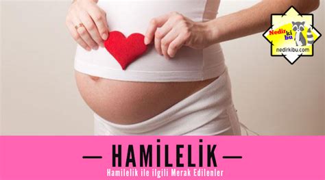 Doğurganlığı arttıran yiyecekler