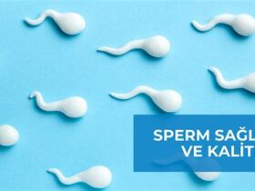 Sperm sayısı ve sperm kalitesi