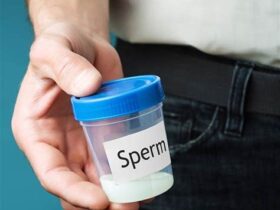 Sperm testi