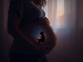 Hamilelikte 11. Hafta