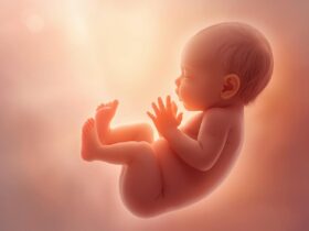 Hamilelikte 14. Hafta