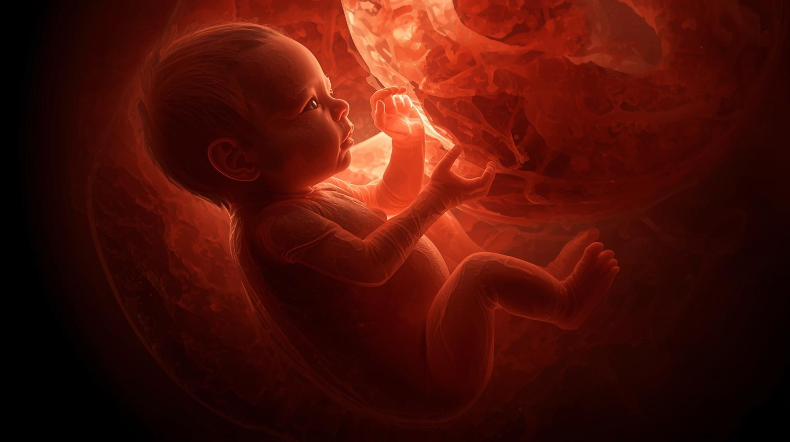 Hamilelikte 16. Hafta