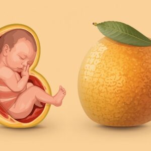 Hamilelikte 19. Hafta