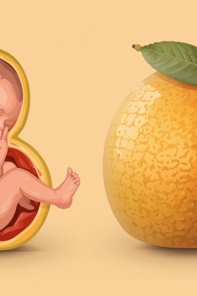 Hamilelikte 19. Hafta