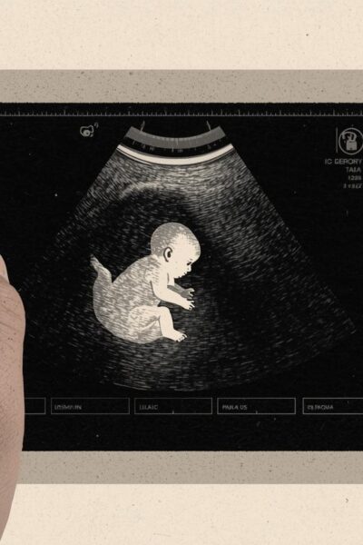 Hamilelikte 23. Hafta